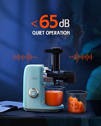 Hazel Quinn Masticating Juicer, Slow Cold Press Juicer Machines for Fruit and Vegetable, Filter-Free for Easy to Clean, 2-Speed Modes & Reverse F