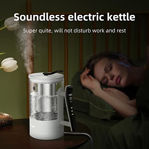 Electric Kettle,1.2L Electric Tea Kettle With Touch Control, Smart Temperature Control Hot Water Kettle With Removable Infuser,Tea Maker Coffee P