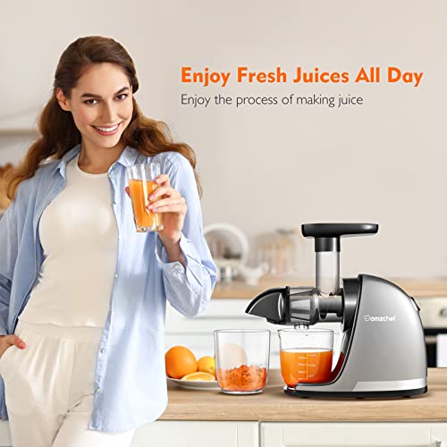 AMZCHEF Juicer Machines - Cold Press Slow Juicer - Masticating Juicer for Whole Fruits and Vegetables - Delicate Chew No Need to Filter - BPA Fre