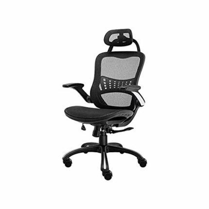 WALNUT Ergonomic Office Chair Modern Desk Chair Adjustable Seat Cushion and Headrest, Breathable Mesh Backrest, Black (no Footrest)
