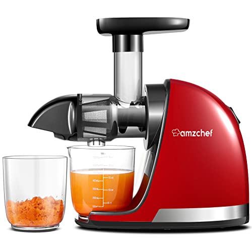 AMZCHEF Juicer Machines - Cold Press Slow Juicer - Masticating Juicer for Whole Fruits and Vegetables - Delicate Chew No Need to Filter - BPA Fre