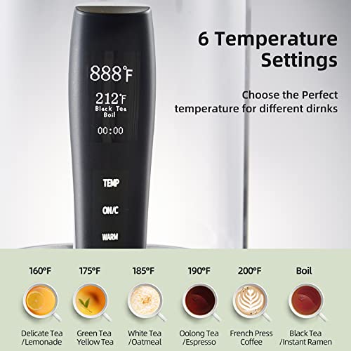 Electric Kettle,1.2L Electric Tea Kettle With Touch Control, Smart Temperature Control Hot Water Kettle With Removable Infuser,Tea Maker Coffee P