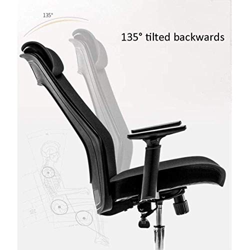 LEIGE Ergonomic Office Chair with Lumbar Support, Adjustable Armrests, Height Adjustable, Black