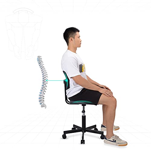 SpecStandard 858-B Office Chair with Adjustable Height, Breathable and Soft Seat Pad, 3D Mesh Back - Black/Grey