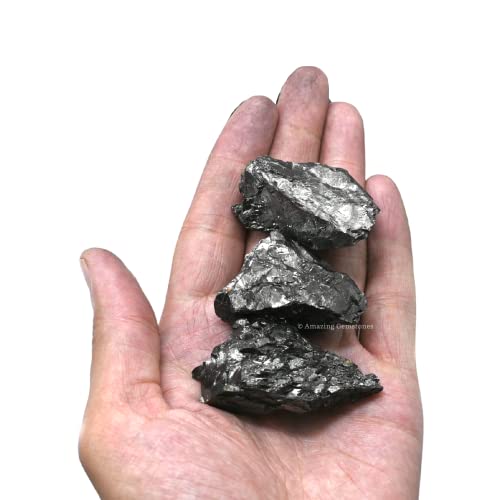 Elite Shungite Stones Chips for Water Purification Tablets, Authentic Karelian Heritage Shungite Stones for Shungite Water Bottle (50 Gram)