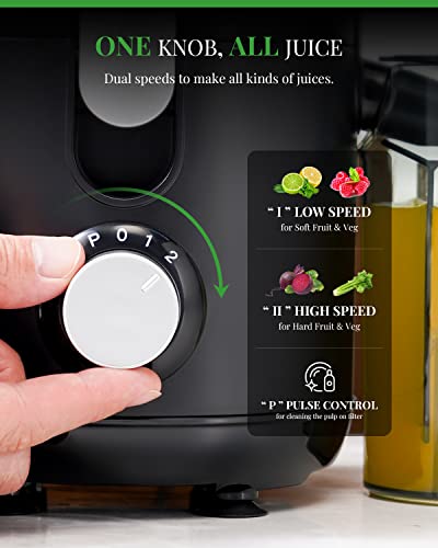 GDOR Juicer Machines, 600W Juicer with 6.5cm Feed Chute for Fruit and Vegetable, Juice Extractor with Dual Speeds, Compact Centrifugal Juicers An