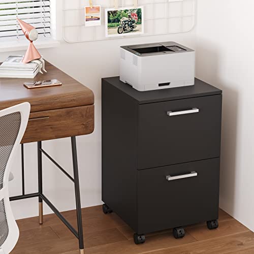 Rovaurx Office File Cabinet with 2 Drawers, Rolling Filing Cabinet, Mobile Cabinet, 5 Wheels, Suspended Folder, A4 and Letter Sized Documents, Bl