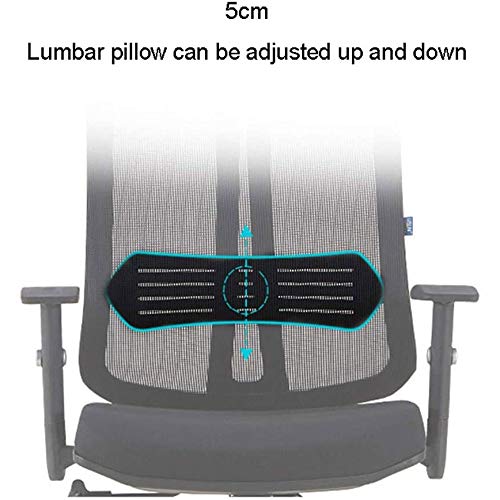 ZCMEB Mesh Office Chair Ergonomic Office Chair Computer Desk Chair, Mesh Seat and Back, Wide Headrest, Adjustable Lumbar Support