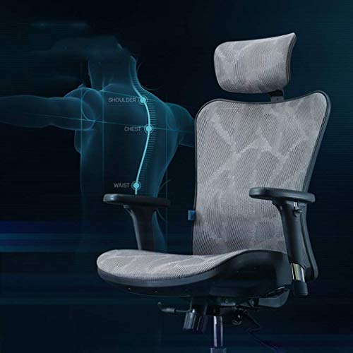 LZQDM Office Chair -Ergonomic Computer Chair Home Simple Game Seat Sedentary Reclining Back Office Lift Swivel Chair