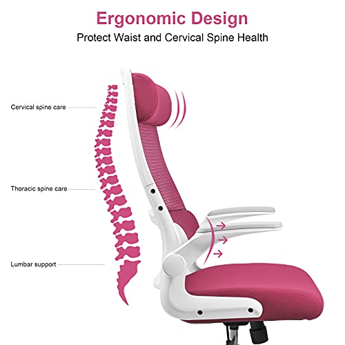 MELOKEA Ergonomic Office Chair with Neck Support, Desk Chair High Back Mesh Office Chair with S-shaped Lumbar Support Flip-up Armrests Adjustable