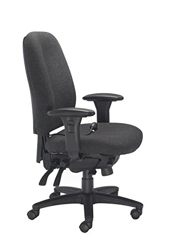 Office Hippo Heavy Duty Ergonomic Office Chair with Back Support, Desk Chair, Back, Seat & Forward Tilt Controls, Lumbar Support Office Chair, Co