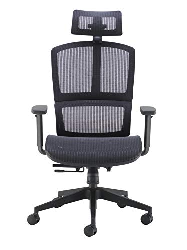 Office Hippo Ergonomic Chair Office, Mesh Office Chair with Arms, Executive Office Chair with Back Support, Adjustable Arms, Swivel, Black