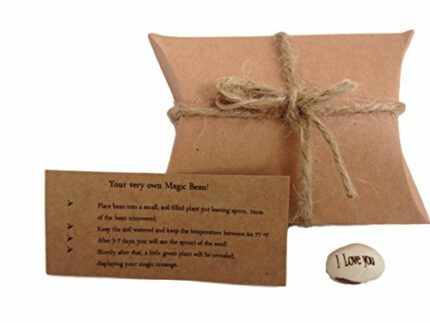 'I Love You' Magic Bean Fun Unusual Gift For Someone You Love Gift Birthday, Christmas, Anniversary Mother's Father's Day or Just Because Gift!