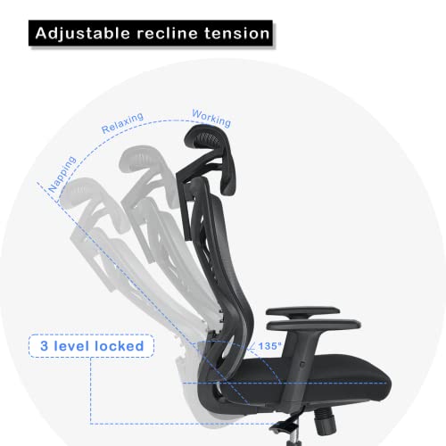 U2PICK Office Desk Chair High Back Ergonomic PC Computer Office Chair with Adjustable Headrest, Lumbar Support and Armrest, Breathable Mesh Back