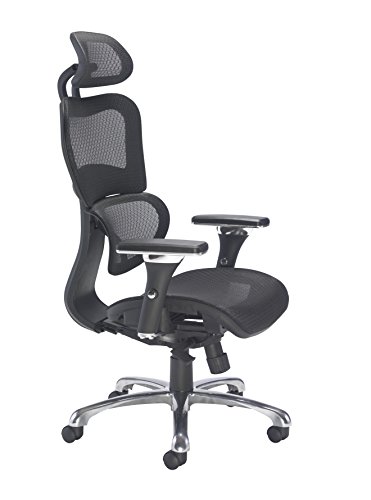 Office Hippo Ergonomic Chair Office, Office Chair with Back Support, Office Chair with Arms, Mesh, Swivel, Black