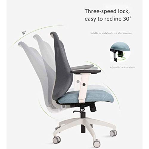 KJHD Computer Chair Home Chair Office Chair Sedentary Comfortable Ergonomic Chair Desk Chair Swivel Chair (Color : A)