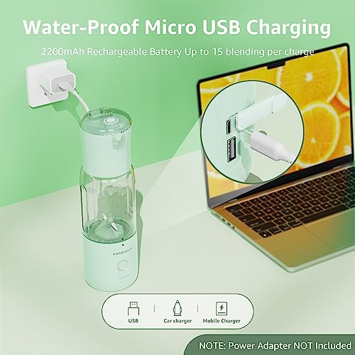 EASEHOLD Portable Blender, Personal Blender for Shakes and Smoothies, 350ml Fruit Juice Mixer with 6 Blades USB Rechargeable, 12Oz Mini Blender,