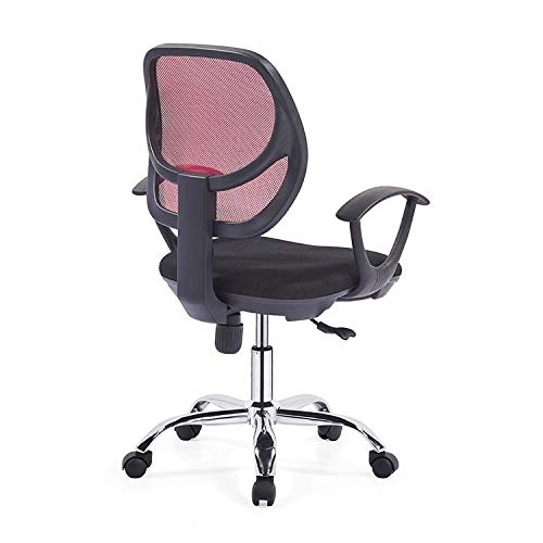 LEIGE Executive Office Chair - High Back Office Chair with Footrest and Thick Padding - Reclining Computer Chair with Ergonomic Segmented Back