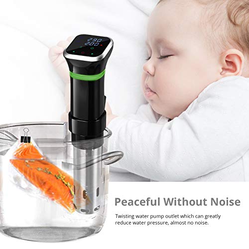 Sous Vide TANiCE Precision Cooker Immersion Circulator 1100W Water Sous Vide Device with Accurate Temperature and Time Control Sous Vide Cookbook