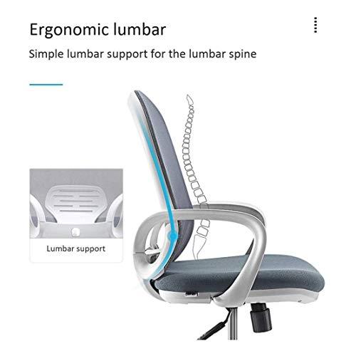 LXXSH 2020 design All mesh full Fabric multifunctional comfortable Ergonomic Office Chair (Color : Argento)