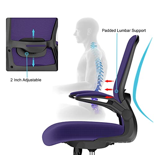 Office Chair, Ergonomic Desk Chair with Adjustable Lumbar Support, High Back Mesh Computer Chair with Flip-up Armrests-BIFMA Passed Task Chairs,