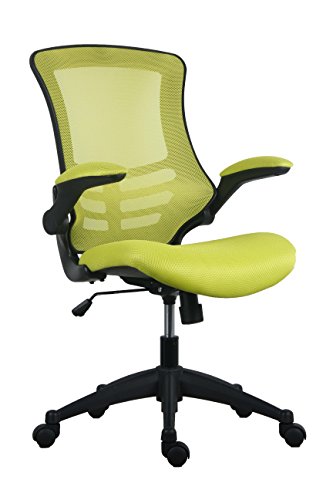 Office Hippo Mesh Operator Office Chair, Height & Tilt Adjustable Ergonomic Chair with Tension Control, Flip Up Arms, Computer Chair for Daily Us