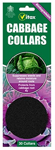 ( x2 ) Vitax Cabbage Collars Pack 30