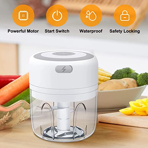 Electric Food Chopper, 250ML Mini Food Chopper, Kitchen Food Processor and Blender, Wireless Portable Electric Garlic Chopper with USB Charging f