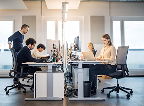 OFITURIA Office Chair Wheels, Standard