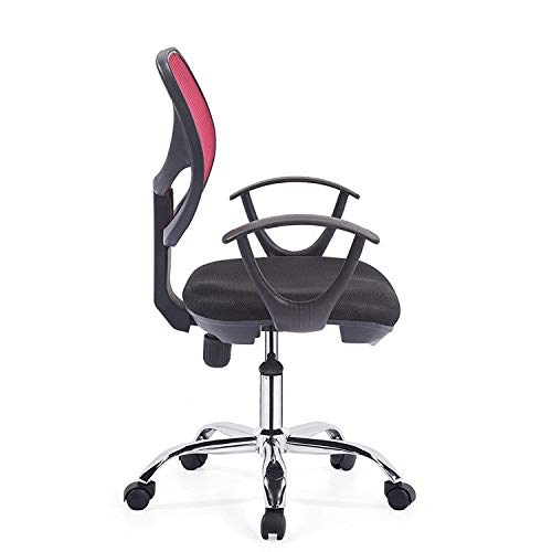LEIGE Executive Office Chair - High Back Office Chair with Footrest and Thick Padding - Reclining Computer Chair with Ergonomic Segmented Back