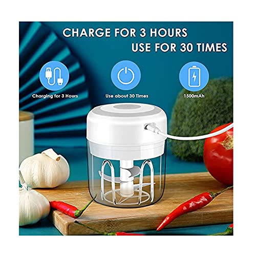 Electric Mini Garlic Chopper,Portable Mini Mincer Electric Food Processor, 250ml Mini Baby Food Maker Presses for Chili Onion Meat Spices Chopper