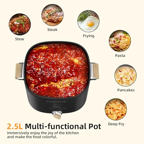 Audecook Hot Pot Electric, 2.5L Portable Nonstick Multicooker, Shabu-Shabu Pot, Travel Electric Skillet with Dual Power Temperature Control for N