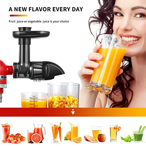 Cold Press Juicers Attachment for Kitchenaid Stand Mixers, AMZCHEF Masticating Slow Juicer Accessories for Kitchen Aid Mixers, Slow Juicer Replac