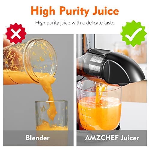 AMZCHEF Juicer Machines - Cold Press Slow Juicer - Masticating Juicer for Whole Fruits and Vegetables - Delicate Chew No Need to Filter - BPA Fre
