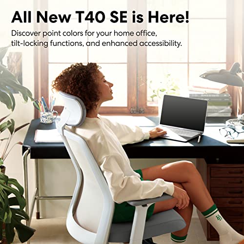 SIDIZ T40 SE Ergonomic Office Chair : Comfortable Home Office Chair for Light Users with Reclining Tilt Lock, Headrest, 3D Armrests, Mesh Back Co