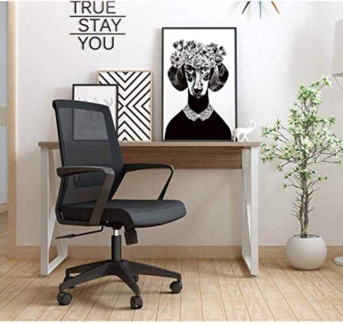 HJW Office Chair Swivel Chair Gaming Chair Computer Chair Task Desk Chair Home Chair Ergonomic Design Armchair