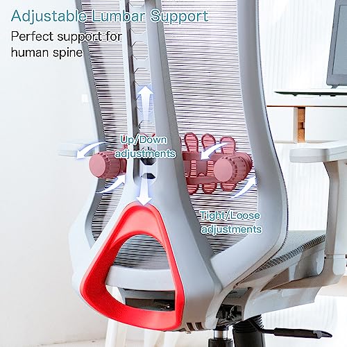iOCHOW Ergonomic Computer Office Chair: High Back Desk Chair with Adjustable Lumbar Support, Headrest & 3D Armrests - 125° Rocking Mesh Breathabl