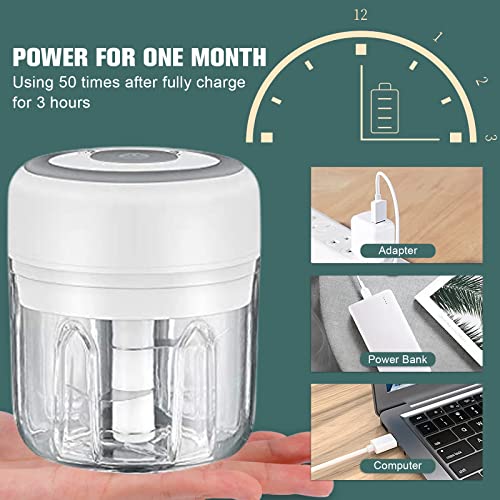 Electric Food Chopper, 250ML Mini Food Chopper with Silicone Spatula & USB Charging, Portable Mini Mincer Electric Food Processor for Vegetables,