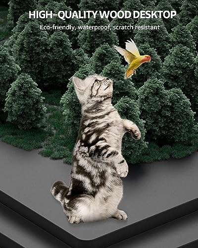 SIAGO Electric Standing Desk Adjustable - 48 x 24 Inch Sit Stand Desk with Cable Management - 3 Memory Preset Adjustable Height Stand up Computer