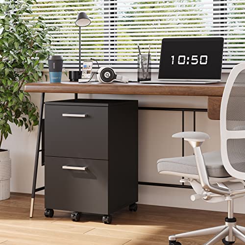 Rovaurx Office File Cabinet with 2 Drawers, Rolling Filing Cabinet, Mobile Cabinet, 5 Wheels, Suspended Folder, A4 and Letter Sized Documents, Bl