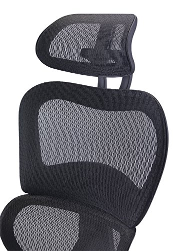 Office Hippo Ergonomic Chair Office, Office Chair with Back Support, Office Chair with Arms, Mesh, Swivel, Black