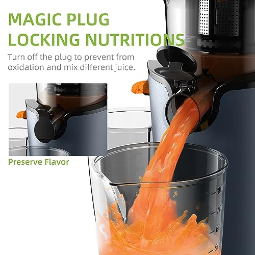 Biolomix Masticating Juicers for Whole Fruits and Vegetables, Cold Press Masticating Juicer with Wide Mouth 78mm Feeding Chute, Reverse Function