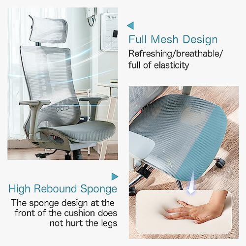 iOCHOW Ergonomic Computer Office Chair: High Back Desk Chair with Adjustable Lumbar Support, Headrest & 3D Armrests - 125° Rocking Mesh Breathabl