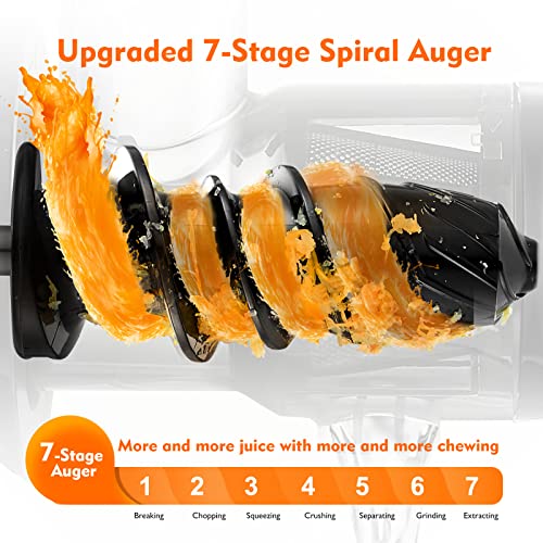 AMZCHEF Juicer Machines - Cold Press Slow Juicer - Masticating Juicer for Whole Fruits and Vegetables - Delicate Chew No Need to Filter - BPA Fre