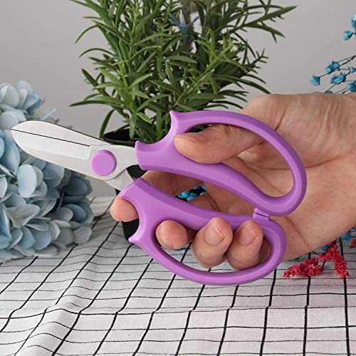 YYG Floral Shears, Premium Steel Garden Pruning Shears Floral Fruits Leaf Scissors Hand Pruner Snip Trimming Tool for Gardening Flower (Purple, 6