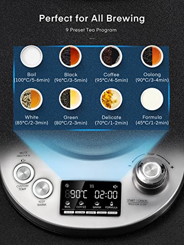 Kettle Electric with Variable Temperature Control - FOHERE Smart Glass Tea Kettle with 9 Presets - LCD Display - 2Hr Keep Warm - Removable Tea In