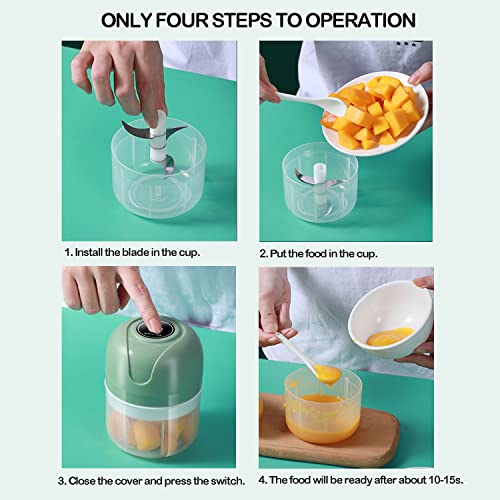 FIOUSY Mini Food Chopper, 100ML+250ML, Wireless Portable Electric Garlic Chopper, USB Charging, Easy to Clean, Food Processor for Baby Food/Peppe