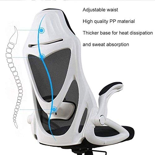 KJHD Ergonomic Office Desk Chair with Adjustable Armrest, Lumbar Support, Headrest and Breathable Skin Friendly Mesh (Color : Black)