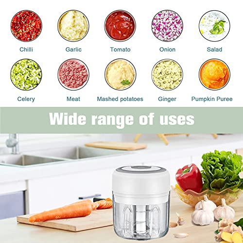 Electric Food Chopper, 250ML Mini Food Chopper with Silicone Spatula & USB Charging, Portable Mini Mincer Electric Food Processor for Vegetables,