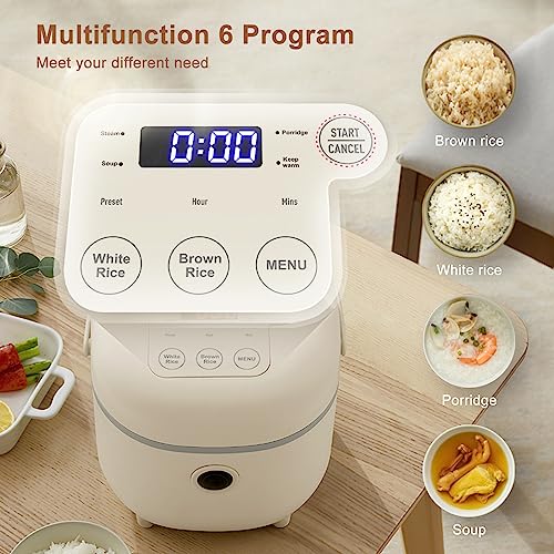 Bear Rice Cooker 2L with Steamer, 6 Rice Cooking Functions with Brown Rice, Steam, Porridge,Soup, Preset and Keep Warm, Multifunctional 350W Elec